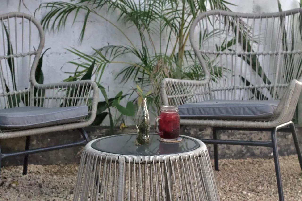Casa Del Artista - B&B Playa del Carmen Oda ve Kahvaltı