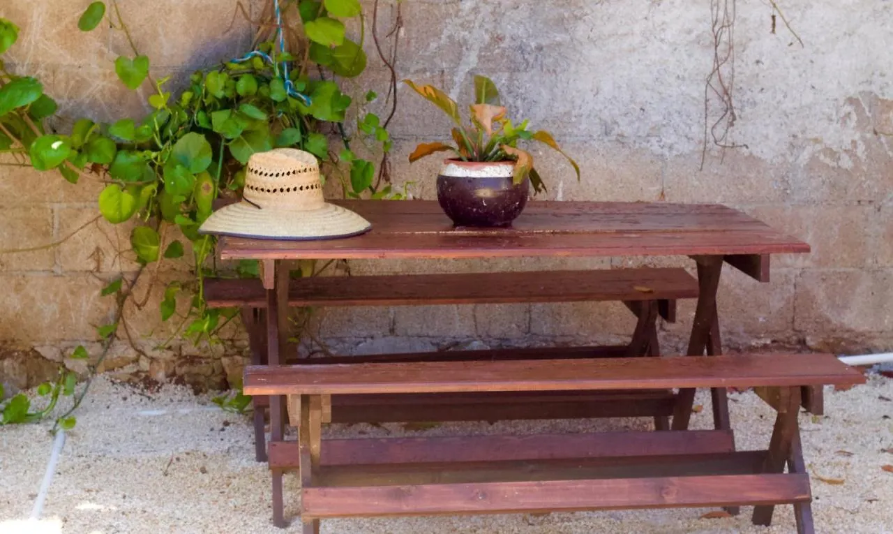 Casa Del Artista - B&B Playa del Carmen Oda ve Kahvaltı
