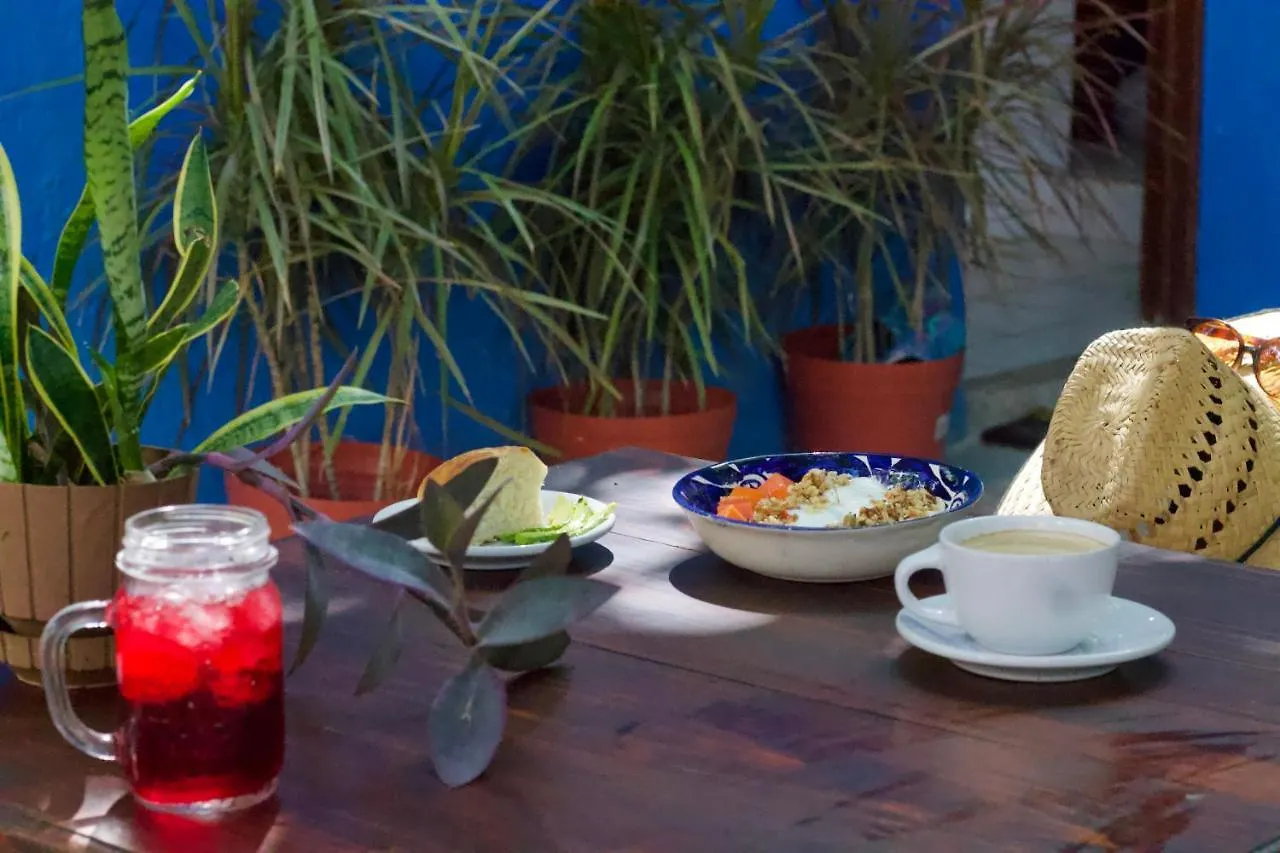 Casa Del Artista - B&B Playa del Carmen 2*,